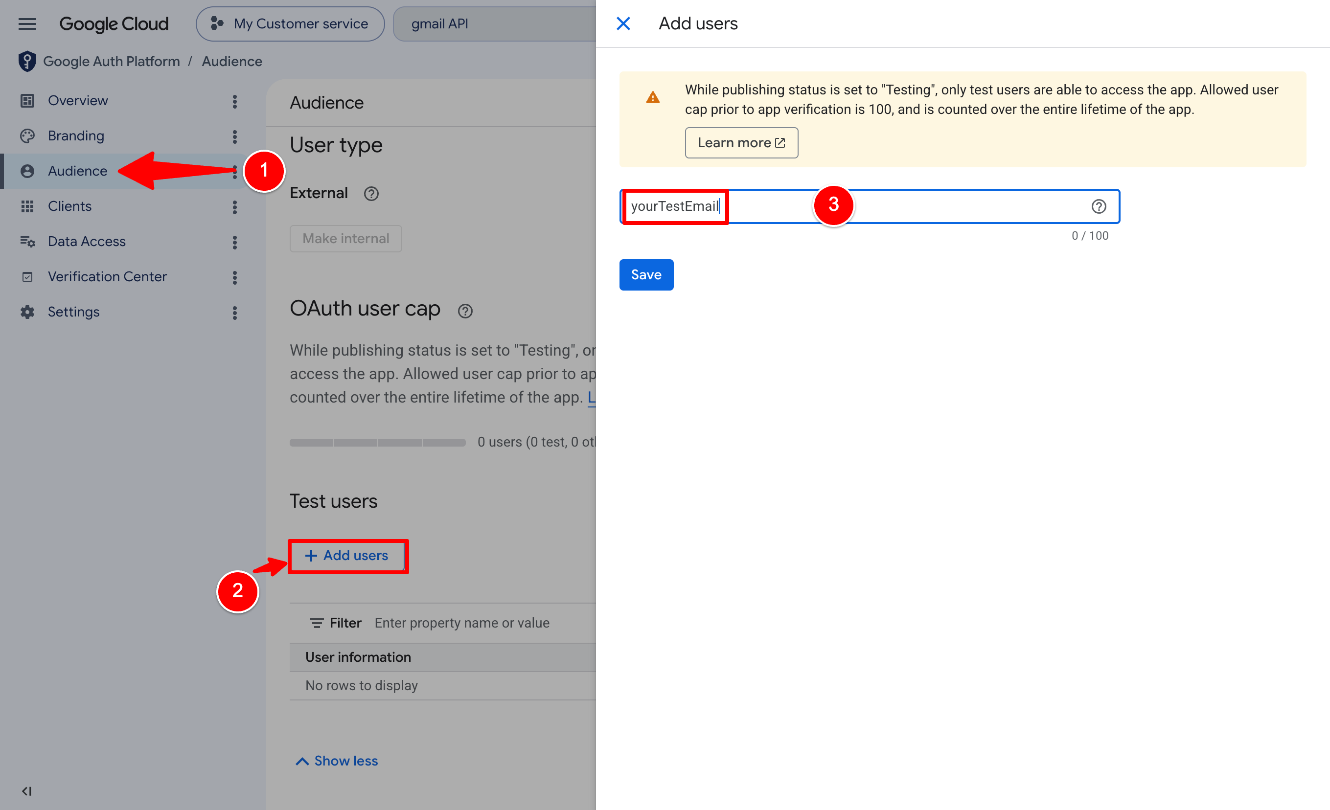 Adding Test users on the Google Auth Platform Audience page