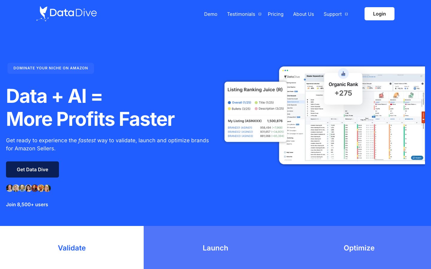 DataDive 官方产品页或产品展示图